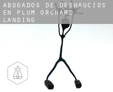 Abogados de deshaucios en  Plum Orchard Landing