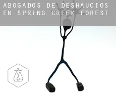 Abogados de deshaucios en  Spring Creek Forest