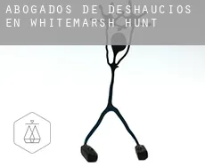 Abogados de deshaucios en  Whitemarsh Hunt