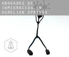 Abogados de inmigración en  Aurelian Springs