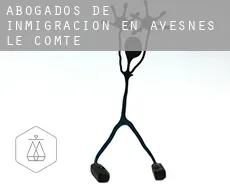Abogados de inmigración en  Avesnes-le-Comte