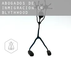 Abogados de inmigración en  Blythwood