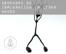 Abogados de inmigración en  Cedar Woods