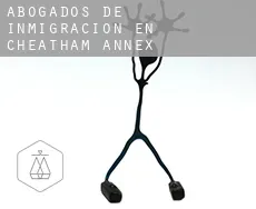 Abogados de inmigración en  Cheatham Annex
