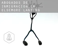 Abogados de inmigración en  Elsemore Landing