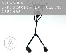 Abogados de inmigración en Falling Springs