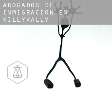 Abogados de inmigración en Killyvally