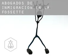 Abogados de inmigración en  La Fossette