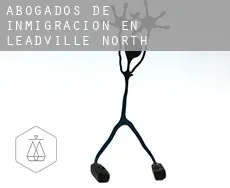 Abogados de inmigración en  Leadville North