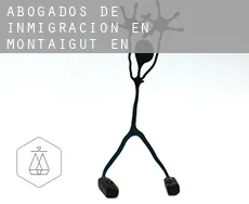 Abogados de inmigración en  Montaigut-en-Combraille