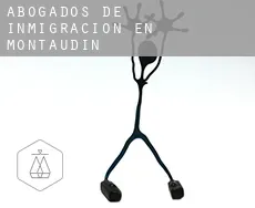 Abogados de inmigración en  Montaudin