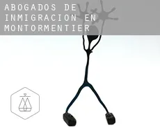 Abogados de inmigración en Montormentier