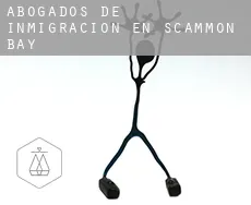 Abogados de inmigración en  Scammon Bay
