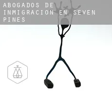 Abogados de inmigración en  Seven Pines