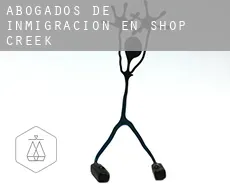 Abogados de inmigración en  Shop Creek