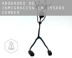 Abogados de inmigración en  Sneads Corner