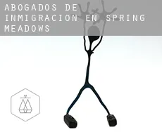 Abogados de inmigración en  Spring Meadows