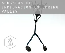 Abogados de inmigración en  Spring Valley