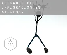 Abogados de inmigración en  Stegeman