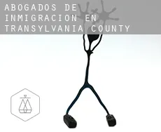 Abogados de inmigración en  Transylvania County