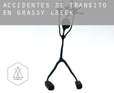 Accidentes de tránsito en  Grassy Creek