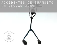 Accidentes de tránsito en  Newman Grove