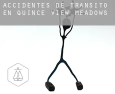 Accidentes de tránsito en  Quince View Meadows
