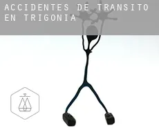 Accidentes de tránsito en  Trigonia