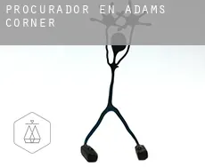 Procurador en  Adams Corner
