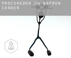 Procurador en  Barron Corner