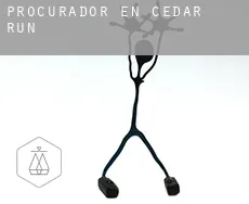 Procurador en  Cedar Run