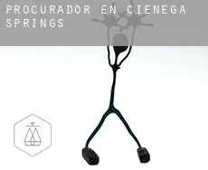 Procurador en  Cienega Springs