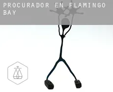 Procurador en  Flamingo Bay