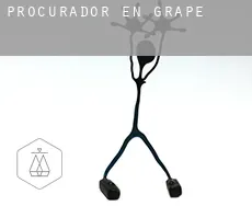 Procurador en  Grape