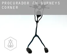 Procurador en  Gurneys Corner