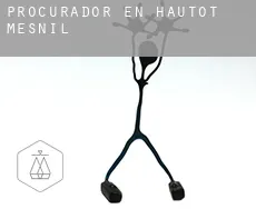 Procurador en  Hautot-Mesnil