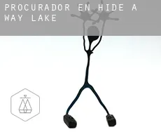 Procurador en  Hide-A-Way Lake