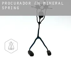Procurador en  Mineral Spring