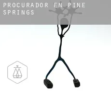 Procurador en Pine Springs