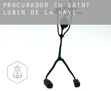 Procurador en Saint-Lubin-de-la-Haye