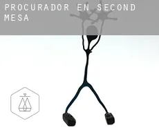 Procurador en  Second Mesa