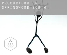 Procurador en  Springwood South