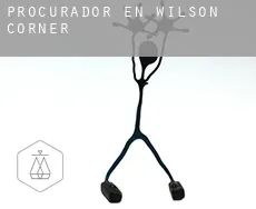 Procurador en  Wilson Corner