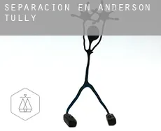 Separación en  Anderson Tully