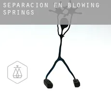 Separación en  Blowing Springs