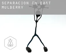 Separación en  East Mulberry