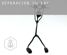Separación en  Fay