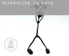 Separación en  Fays