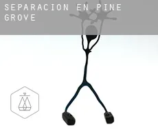 Separación en  Pine Grove