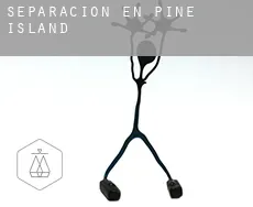 Separación en  Pine Island